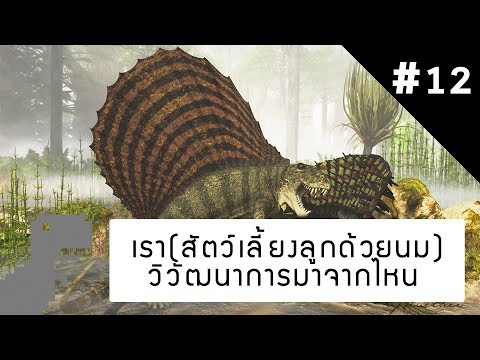 มะเร็งหน้าอกเล็ก ข้อต่อหลังจากการทำศัลยกรรมพลาสติกบนหน้าอก
