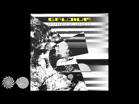 Gaudium - Fragments of Insanity