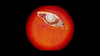 I Could Show You How by Naked Eyes REMASTERED