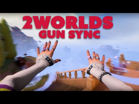 2Worlds | Valorant Gun Sync