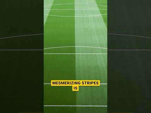 🧐Why football pitches have stripes?