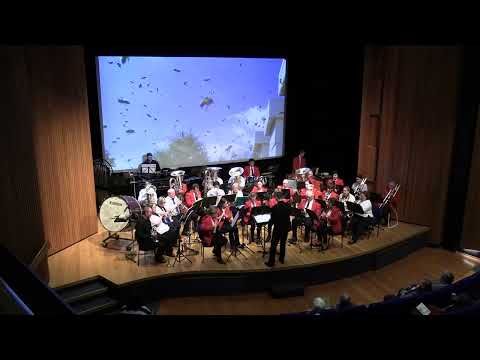 Swarm by Brian Beck, performed by The Napier Technical Memorial Band and Deco Bay Brass