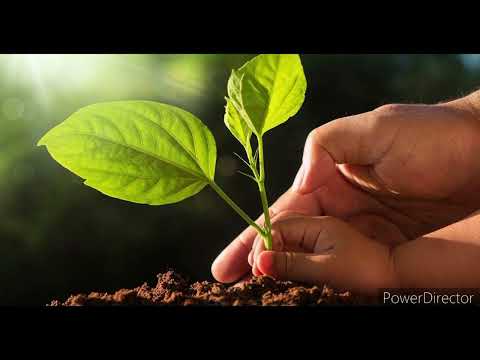 Two ft Lora- C'es la vie