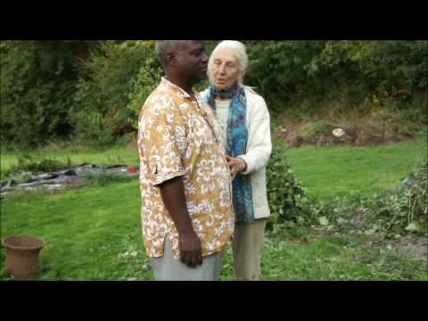 Sur un fil à plomb-Reportage1&2 - Nicolas Pinet Arthur Max Rosenblue