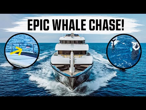 Superyacht Drone DISASTER and Epic Whale Chase! - Motor Yacht Loon Ep.1