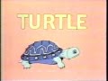 Classic Sesame Street Animation T For Turtle Poem