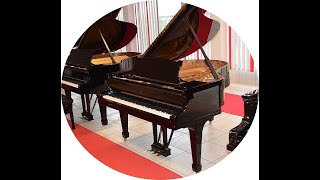 Komplett restaurierter Steinway Modell M-170 aus Hamburger Produktion