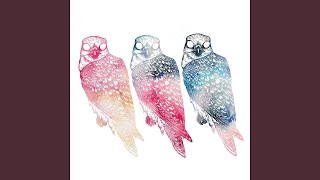 This Is What You Wanted