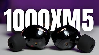 $10 Mistake or $300 Winner?  The Sony WF1000XM5