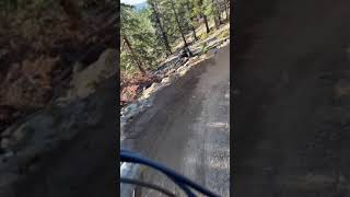 A video of a mounted camera on the handlebar going down Fast Money