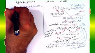 صورة 54 √ فاء السببية و واو المعية