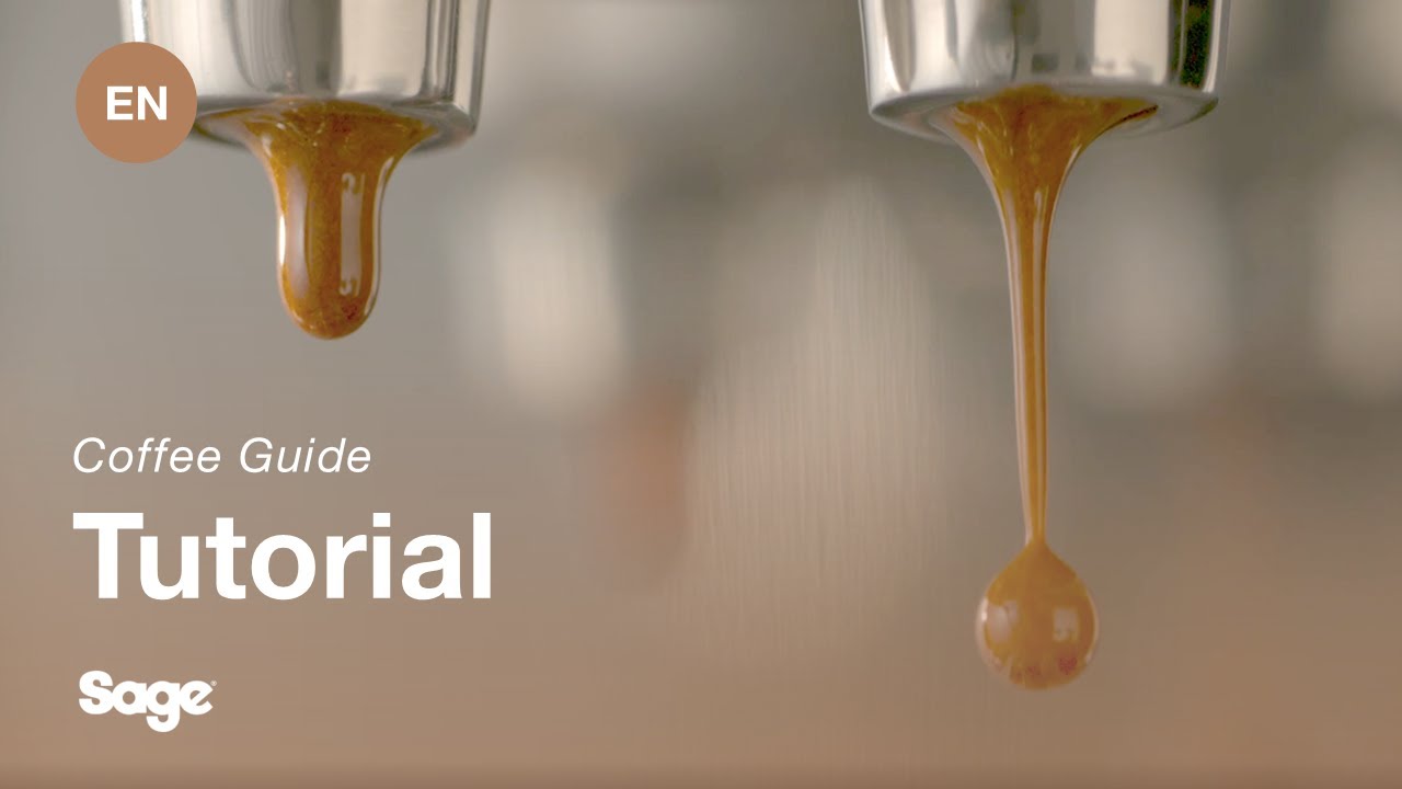 Brevilles handledning för att göra kaffe - Balansera din extraktion
