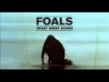 Birch Tree - Foals