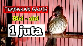 Download lagu siri siri kecil tembakan sadis mp3 Download lagu siri siri kecil tembakan sadis mp3