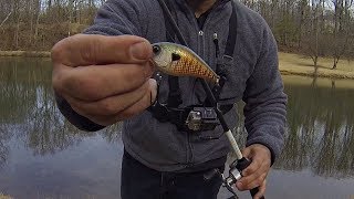 Winter Bass Fishing with my Mystery Tackle Box!!!