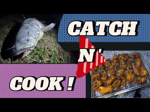 Southern Fried Catfish Tutorial