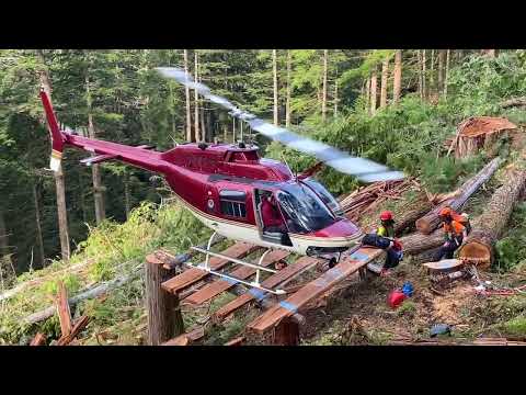 Heli Logging Fallers BC Coast Miskatla Inlet