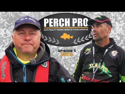 Perch Pro 2018 - EPISODE 5 - with French, German & Russian subtitles