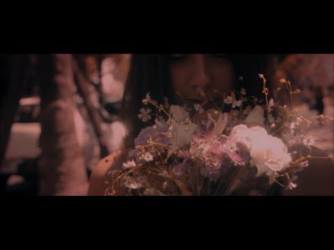 Flying Dragons - Official music video