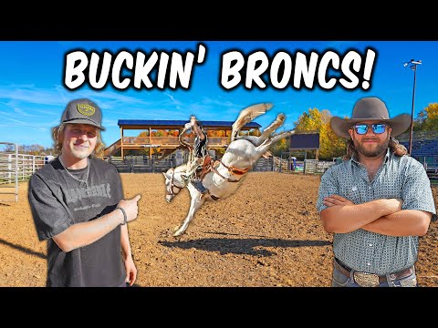 The CREEKBEND BOYZ BUCK PRO RODEO BRONCS!
