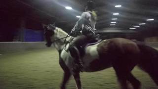 Emily and Fred Dressage Lesson (Vid 2)