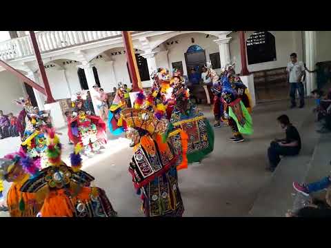 Baile de venado en santa Maria Cahabon a. v.2023