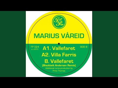Vallefaret (Jarle Braathen Remix)
