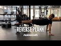 Reverse Plank 廣東話旁白 | #AskKenneth