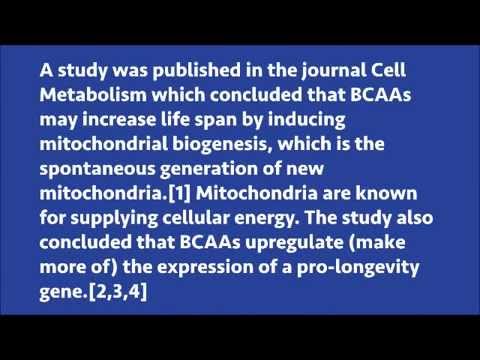 Branched-Chain Amino Acids- Not Just For Building Muscle