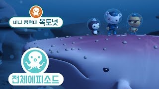 바다 탐험대 옥토넛 - 혹등고래 (시즌1 에피소드13 - 전체에피소드)