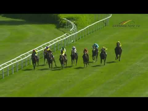 BBAG Meiler Auktionsrennen Hamburg 2018