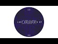 [LDG02] 3. Lay Down The Groove - Selbst (Original Mix)