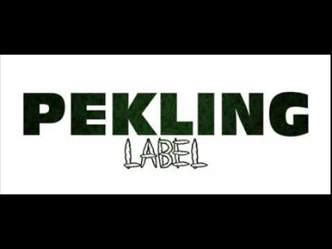 MisziGun&Niemen - Pod kopułą