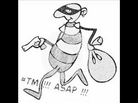 A$AP Denz - Swammy On Deck | @AsapJimBizzy357