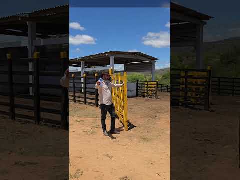 Fazenda à venda em Jataúba  Pernambuco medindo 155 hectares #nordeste #fazenda #agro