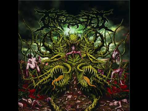 Ingested-Contorted Perception online metal music video by INGESTED
