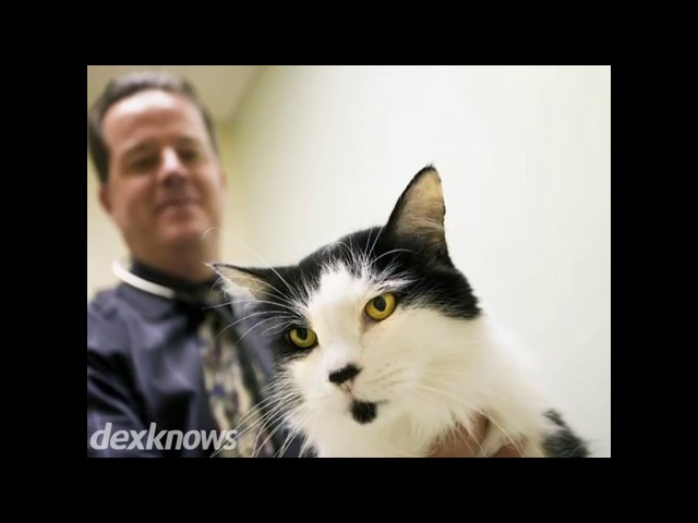 Plainview Veterinary Clinic - Plainview, MN