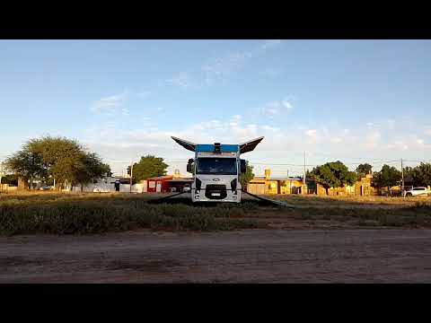 22-11-2025 : Suelta del CIP desde Santa Isabel, La Pampa