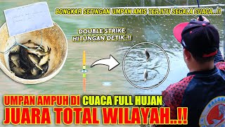 Download lagu UMPAN AMIS TERAMPUH DI SEGALA CUACA !! JUARA TOTAL WILAYAH TERBANYAK CUACA FULL HUJAN IKAN LAHAP ❗❗ mp3