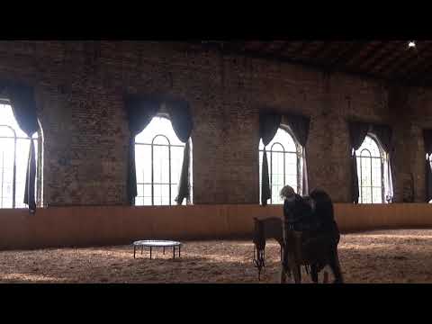 Diese Bewegung im Sattel  musst Du unbedingt sein lassen!