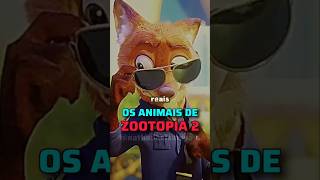 OS ANIMAIS DE ZOOTOPIA 2 #zootopia2 #zootopia #disney #pixar #shorts