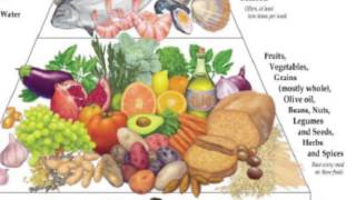 Lesson 8: Part 1 - Opening Lecture