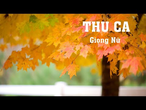 Karaoke Thu Ca (Giọng Nữ Nhạc Hay)_Karaoke Phúc Nguyễn