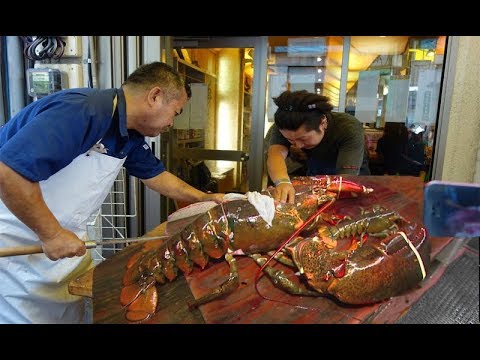 download lagu mp3 mp4 Alaskan Lobster, download lagu Alaskan Lobster gratis, unduh video klip Alaskan Lobster