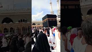 Download lagu labbaik Allahumma Labbaik mp3 Download lagu labbaik Allahumma Labbaik mp3