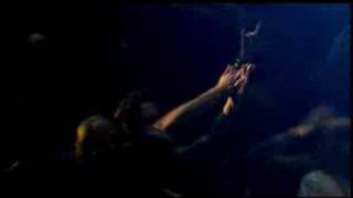 Forgotten Rebels Unreleased video 2001 No Place To Hide