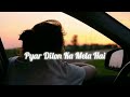 Pyar Dilon Ka Mela Hai Slowed Reverb Perfection