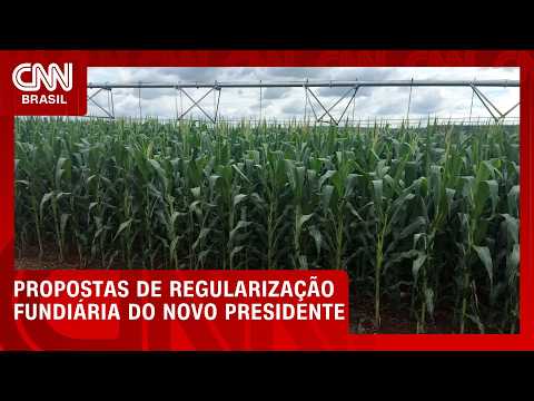 Regularização fundiária: o que Flávio Bolsonaro e Lula propõem para o campo | CNN AGRO NEWS