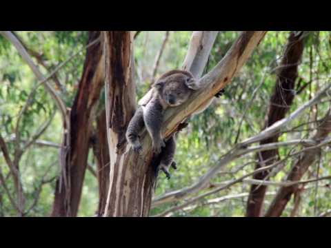 MEgional 2016 08 26 - Unsere Nachrichten für das Mittlere Erzgebirge