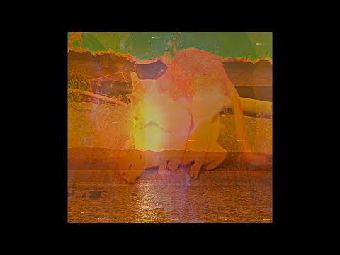 Prune Deer - Stalling (Official Music Video)